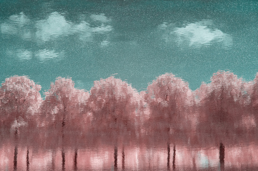 Christian Lorenz | RandomCityLights | Leipzig Infrarot | Landschaftsfotograf auf alleFotografen