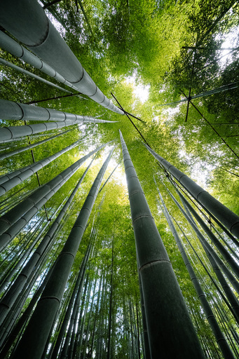 Christian Lorenz | RandomCityLights | Reise | Architekturfotograf auf alleFotografen