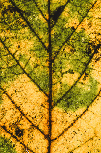 Christian Lorenz | RandomCityLights | Natur | Luftbildfotograf auf alleFotografen