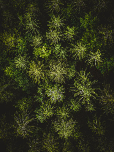 Christian Lorenz | RandomCityLights | Landschaft | Luftbildfotograf auf alleFotografen