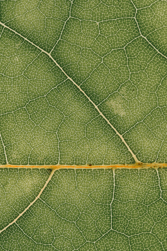 Christian Lorenz | RandomCityLights | Natur | Kunstfotograf auf alleFotografen