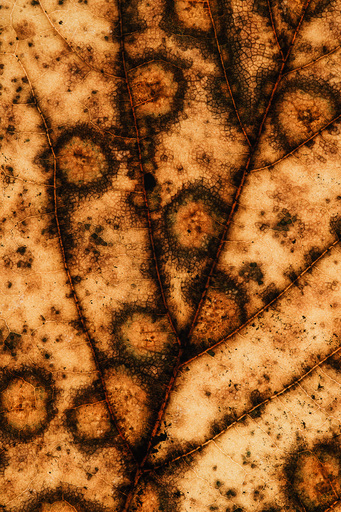 Christian Lorenz | RandomCityLights | Natur | Landschaftsfotograf auf alleFotografen