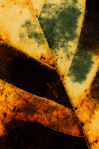 Christian Lorenz | RandomCityLights | Natur | Landschaftsfotograf auf alleFotografen