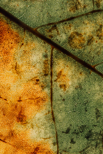 Christian Lorenz | RandomCityLights | Natur | Architekturfotograf auf alleFotografen