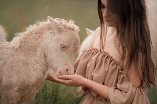 Tabea Jessen Photography | Fohlenliebe | Hundefotograf auf alleFotografen