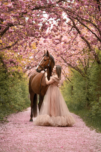 Tabea Jessen Photography | Pferdeliebe | Pferdefotograf auf alleFotografen