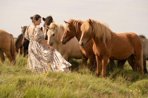 Tabea Jessen Photography | Pferdeliebe | Hochzeitsfotograf auf alleFotografen