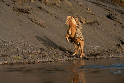 Tabea Jessen Photography | Pferdeliebe | Pferdefotograf auf alleFotografen