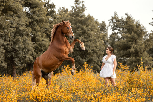 Lara Hück Fotografie  | Pferdefotografie | Familienfotograf auf alleFotografen