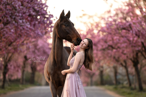 Lara Hück Fotografie  | Pferdefotografie | Pferdefotograf auf alleFotografen