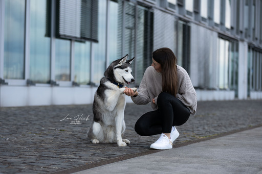 Lara Hück Fotografie  | Hundefotografie | Familienfotograf auf alleFotografen