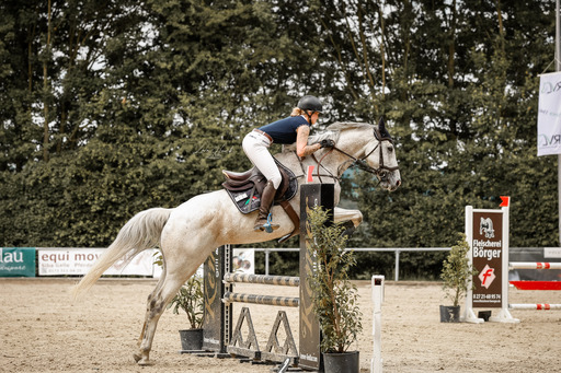 Lara Hück Fotografie  | Turnierfotografie | Hundefotograf auf alleFotografen