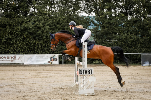 Lara Hück Fotografie  | Turnierfotografie | Fahrzeugfotograf auf alleFotografen