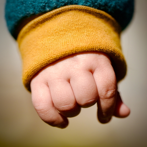 wendt | Familie | Kinderfotograf auf alleFotografen