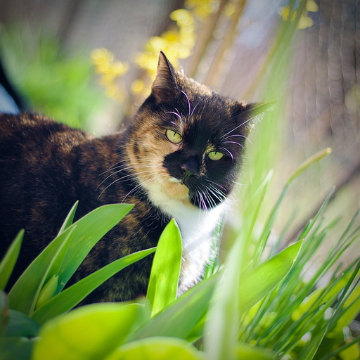 wendt | Familie | Portraitfotograf auf alleFotografen