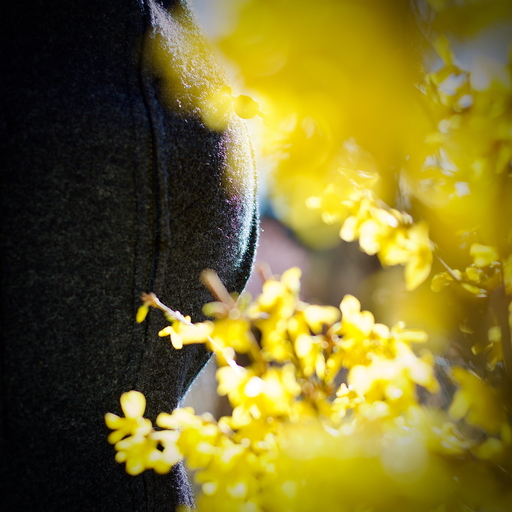 wendt | Familie | Paarfotograf auf alleFotografen
