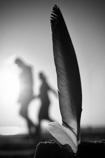 wendt | Familie | Portraitfotograf auf alleFotografen