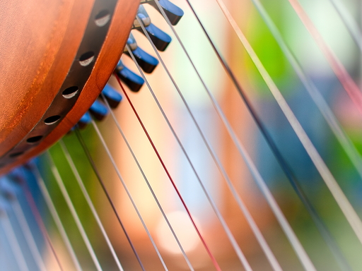 wendt | Konzert | Kinderfotograf auf alleFotografen