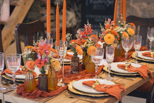 collect moments photography Würzburg - Olga Fedukov | WEDDING | Hundefotograf auf alleFotografen