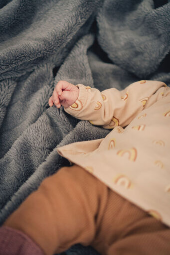 collect moments photography Würzburg - Olga Fedukov | HOMESTORY | Hundefotograf auf alleFotografen