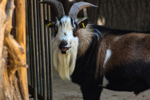 Fotografie Leipzig by Sarah | Tiere | Tierfotograf auf alleFotografen