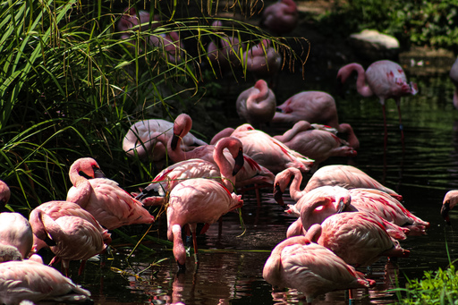 Fotografie Leipzig by Sarah | Tiere | Tierfotograf auf alleFotografen