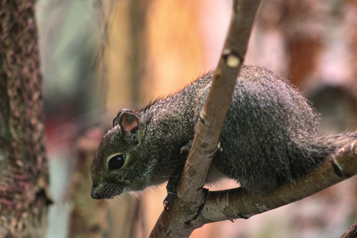 Fotografie Leipzig by Sarah | Tiere | Industriefotograf auf alleFotografen