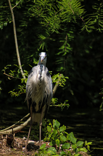 Fotografie Leipzig by Sarah | Tiere | Familienfotograf auf alleFotografen