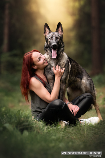 Wunderbare Hunde Fotografie  | Outdoor  | Tierfotograf auf alleFotografen