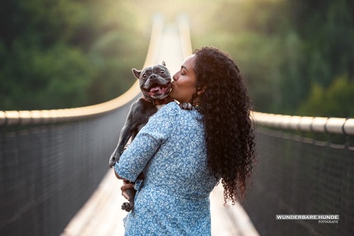 Wunderbare Hunde Fotografie  | Outdoor  | Tierfotograf auf alleFotografen