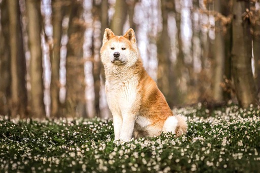 Rieke Goldbach | Shootings | Portraitfotograf auf alleFotografen