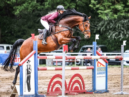 Rieke Goldbach | Turnierfotografie | Sportfotograf auf alleFotografen