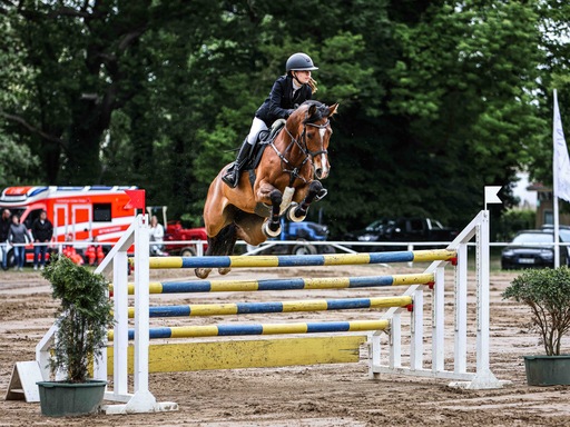 Rieke Goldbach | Turnierfotografie | Pferdefotograf auf alleFotografen