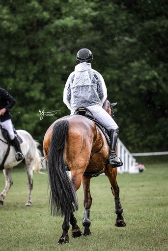 Rieke Goldbach | Turnierfotografie | Sportfotograf auf alleFotografen