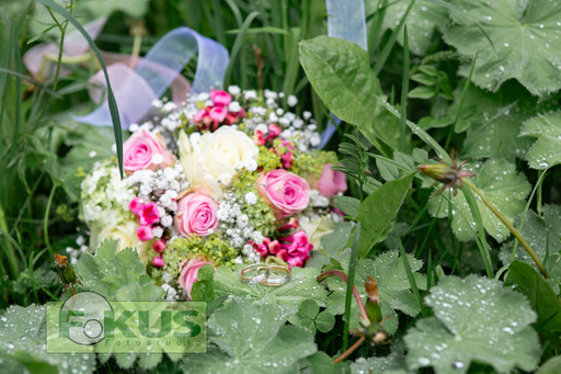 FOKUS - Fotostudio | Hochzeit | Pferdefotograf auf alleFotografen