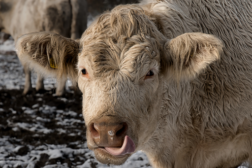 MutzeFoto.Kathrin | Galerie | Portraitfotograf auf alleFotografen