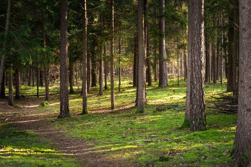 MutzeFoto.Kathrin | Galerie | Paarfotograf auf alleFotografen