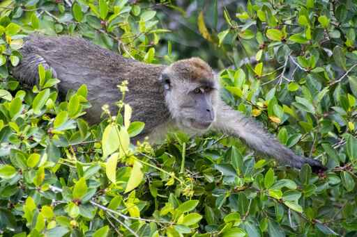 le_mawo | GreenLens | Kunstfotograf auf alleFotografen