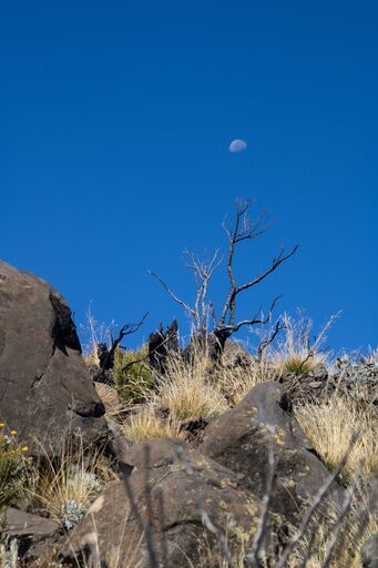le_mawo | GreenLens | Modefotograf auf alleFotografen
