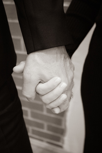 Raya Photos | Baby Bump | Tierfotograf auf alleFotografen