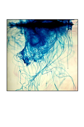 Katja Henkel - Fotografin für Mensch&Tier | Kunstfotografie/flüchtige Momente | Kita- und Schulfotograf auf alleFotografen