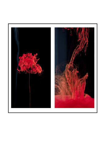 Katja Henkel - Fotografin für Mensch&Tier | Kunstfotografie/flüchtige Momente | Tierfotograf auf alleFotografen