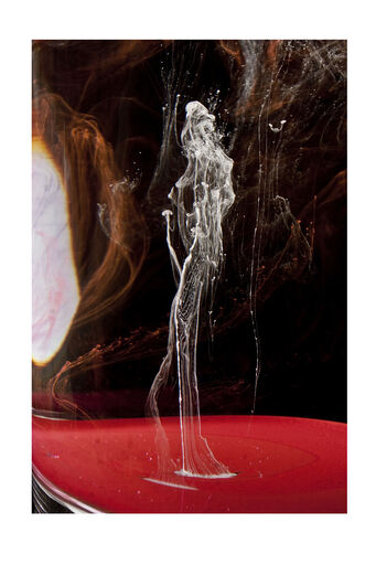 Katja Henkel - Fotografin für Mensch&Tier | Kunstfotografie/flüchtige Momente | Familienfotograf auf alleFotografen