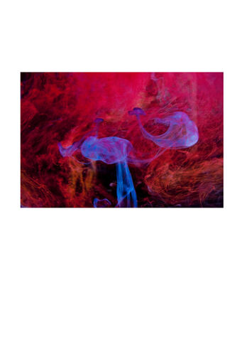 Katja Henkel - Fotografin für Mensch&Tier | Kunstfotografie/flüchtige Momente | Kita- und Schulfotograf auf alleFotografen