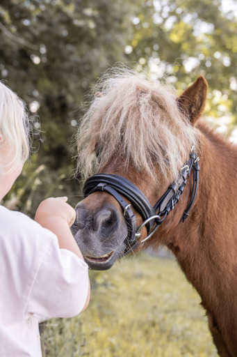 Christiane Häublein Fotographie | Tiere | Sportfotograf auf alleFotografen