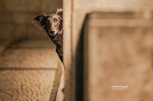 KerliHam_Foto | NEU. NEU. NEU. Nachtfotografie | Paarfotograf auf alleFotografen