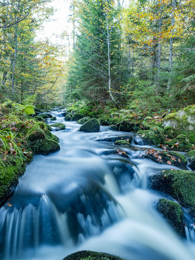 Thomas Dettweiler | Landschaft und Natur | Modefotograf auf alleFotografen