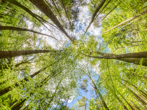 Thomas Dettweiler | Landschaft und Natur | Paarfotograf auf alleFotografen