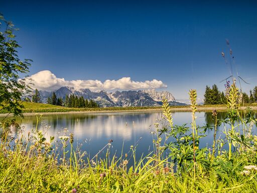 Thomas Dettweiler | Landschaft und Natur | Konfirmationsfotograf auf alleFotografen