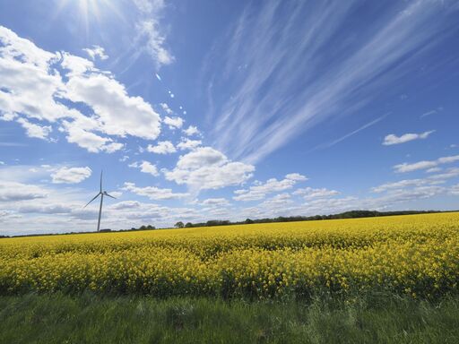 Thomas Dettweiler | Landschaft und Natur | Landschaftsfotograf auf alleFotografen